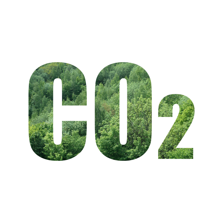 CO2-Kompensation bei Lifegreen.ch